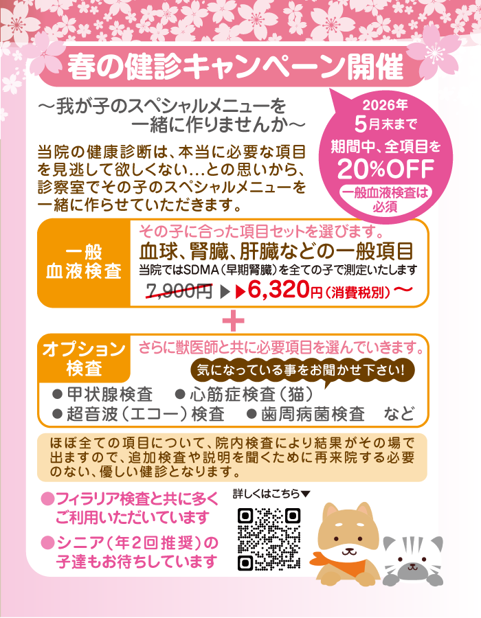 箕面外院どうぶつ病院・箕面彩都どうぶつ病院春の健診キャンペーンのお知らせ ご案内はがき