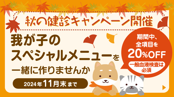 秋の健診キャンペーン開催 〜我が子のスペシャルメニューを一緒に作りませんか〜 期間中、全項目を20％OFF