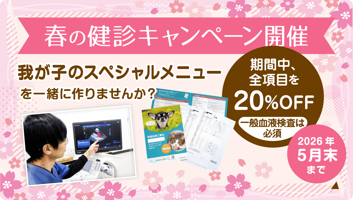 春の健康診断キャンペーン 開催期間 2026年5月末まで。期間中、全項目を20%OFF