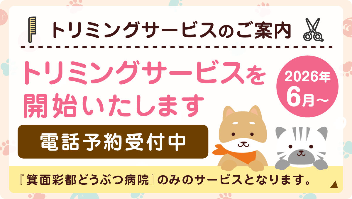 【トリミングサービスのご案内】2026年6月～トリミングサービスを開始いたします。電話予約受付中。『箕面彩都どうぶつ病院』のみのサービスとなります。