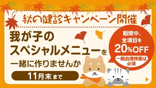 秋の健診キャンペーン 開催期間 2026年11月末まで。期間中、全項目を20%OFF