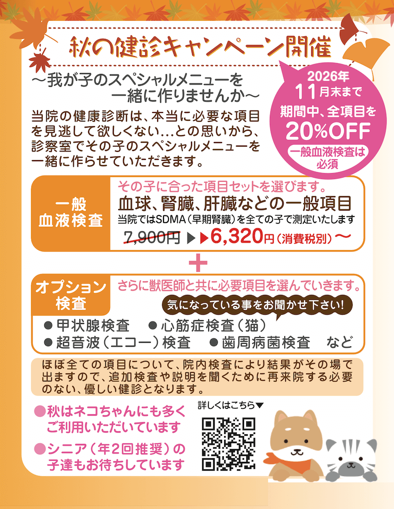 2026年秋の健診キャンペーン